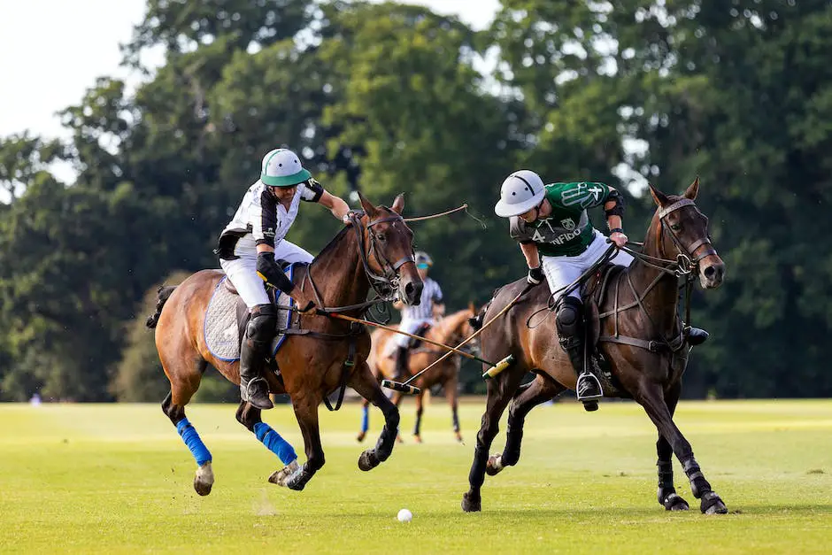 Illustration of a Polo match with players on horsebacks swinging mallets to hit the ball